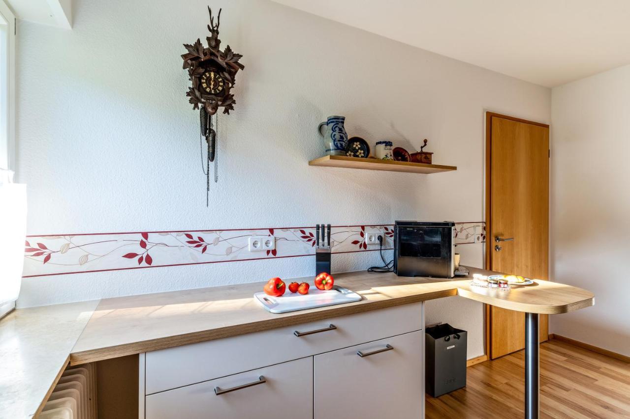 Ferienwohnung Kuckucksnest Lahr  Luaran gambar